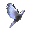 je suis libre